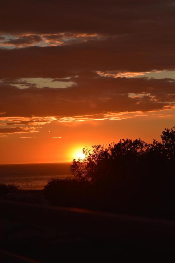 Aguda Mar - V N Gaia *